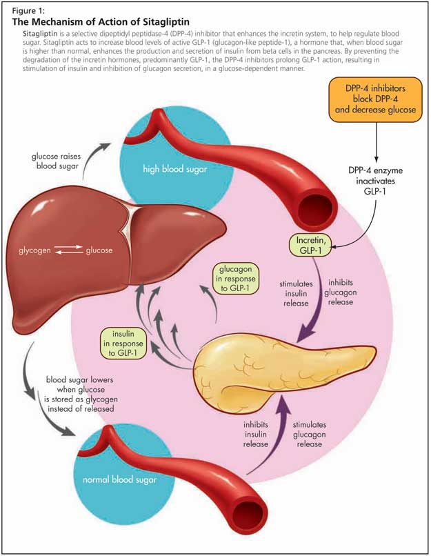 Glyburide and metformin oral route) description and 