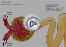 estimated glomerular filtration rate 