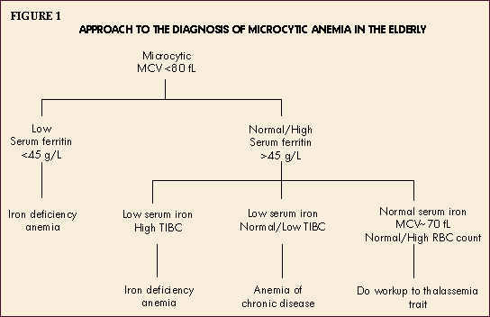 Iron Deficiency Anaemia Microcytic